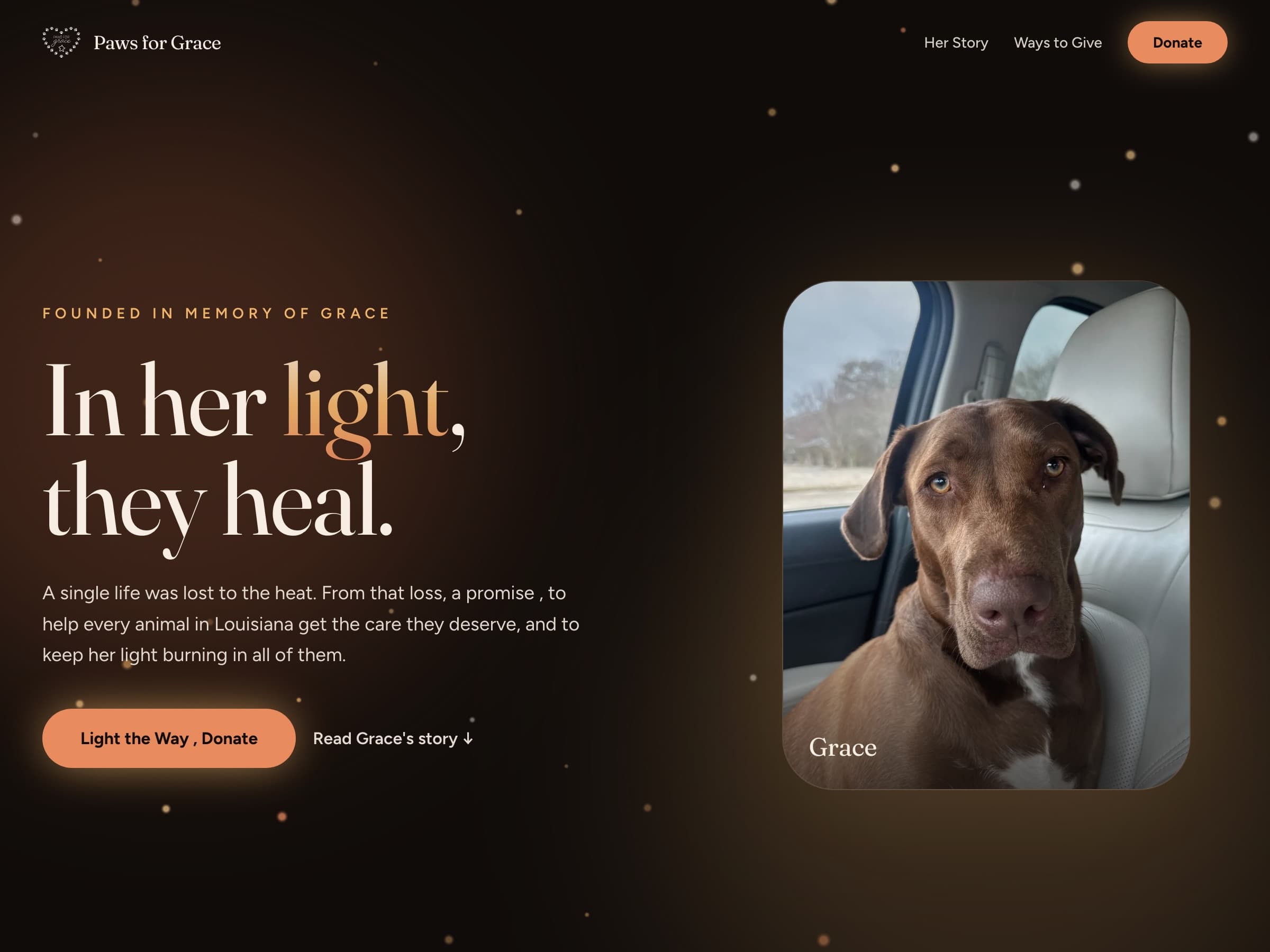 Paws for Grace website